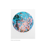 Polaroid Originals Color 600 Film ‑ Round Frame Edition