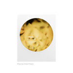 Polaroid Originals Color 600 Film ‑ Round Frame Edition